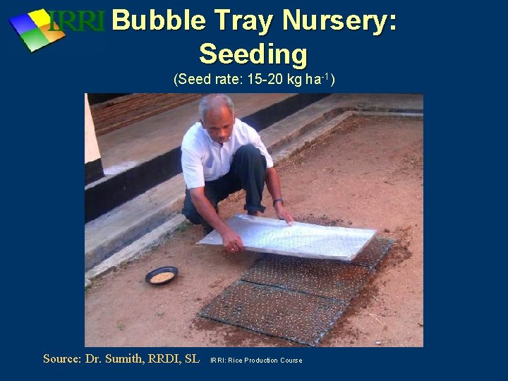 Bubble Tray Nursery: Seeding (Seed rate: 15 -20 kg ha-1) Source: Dr. Sumith, RRDI,