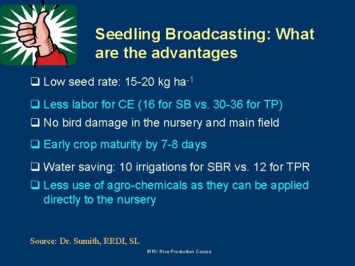 Seedling Broadcasting: What are the advantages q Low seed rate: 15 -20 kg ha-1