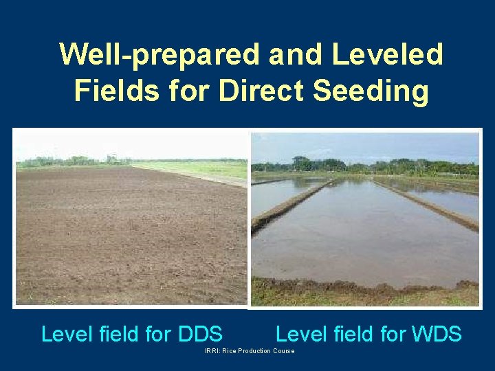 Well-prepared and Leveled Fields for Direct Seeding Level field for DDS Level field for