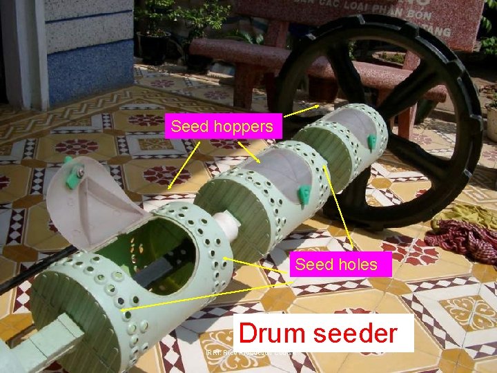 Seed hoppers Seed holes Drum seeder IRRI: Rice Production Course 