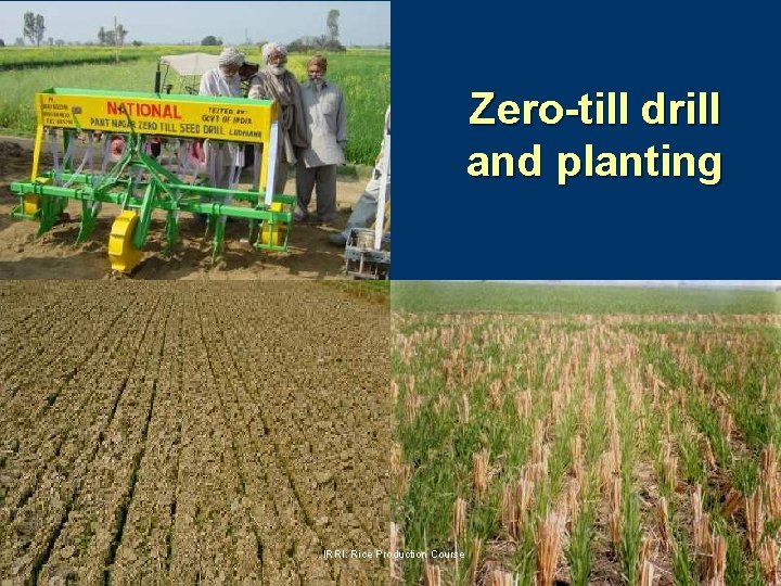 Zero-till drill and planting IRRI: Rice Production Course 
