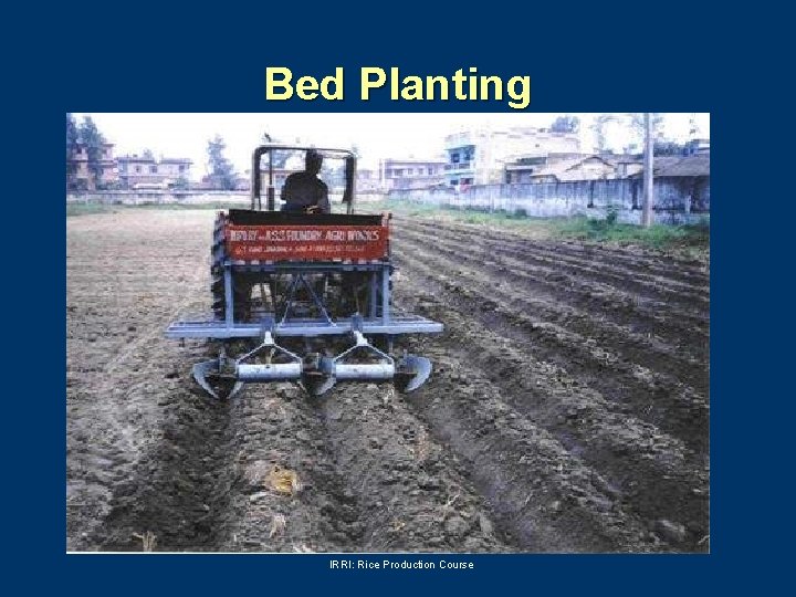 Bed Planting IRRI: Rice Production Course 