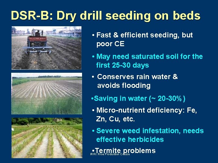 DSR-B: Dry drill seeding on beds • Fast & efficient seeding, but poor CE