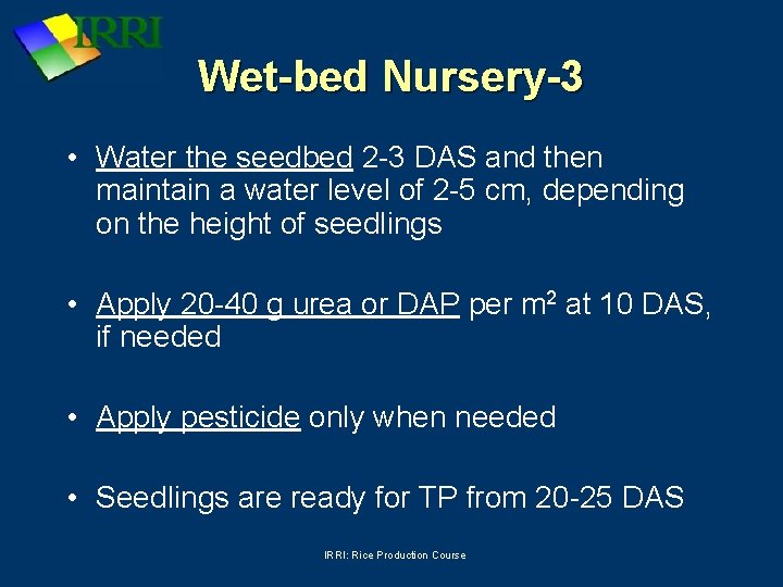 Wet-bed Nursery-3 • Water the seedbed 2 -3 DAS and then maintain a water
