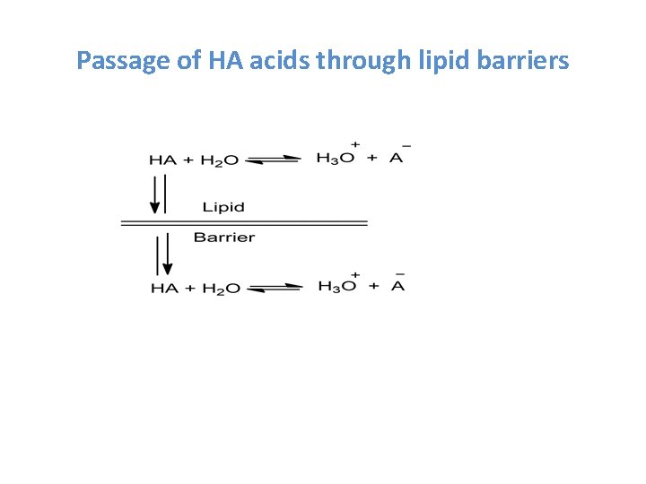 Passage of HA acids through lipid barriers 