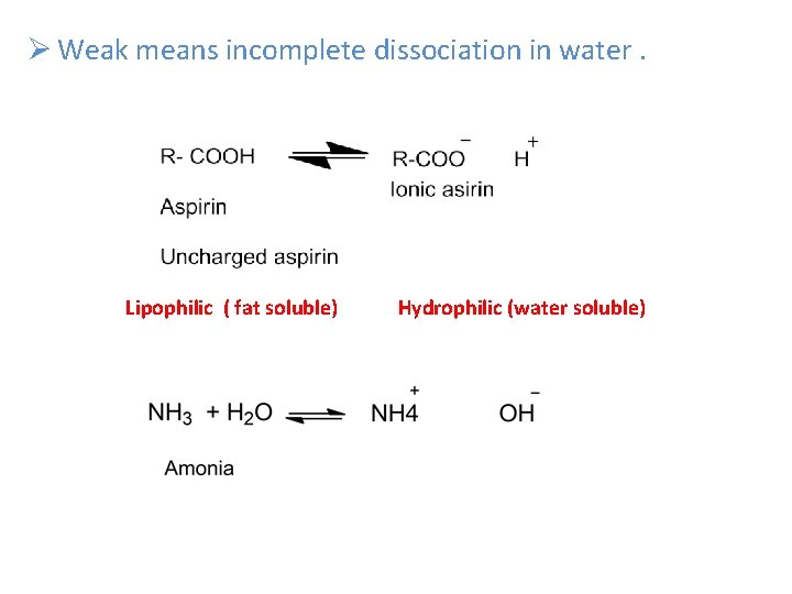 Ø Weak means incomplete dissociation in water. Lipophilic ( fat soluble) Hydrophilic (water soluble)