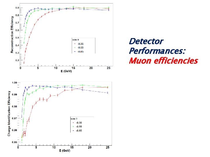 Detector Performances: Muon efficiencies 