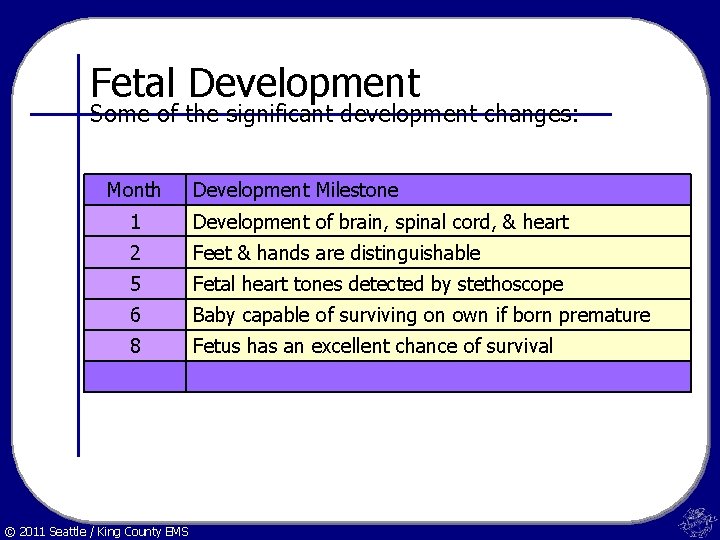 Fetal Development Some of the significant development changes: Month Development Milestone 1 Development of