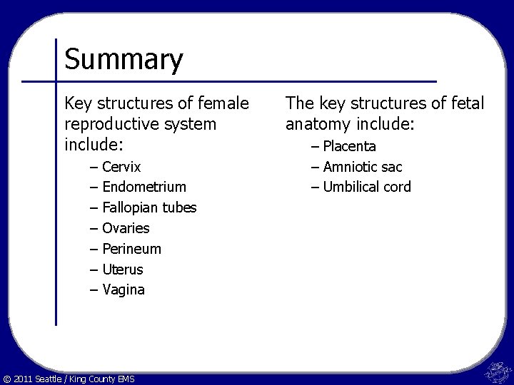 Summary Key structures of female reproductive system include: – – – – Cervix Endometrium