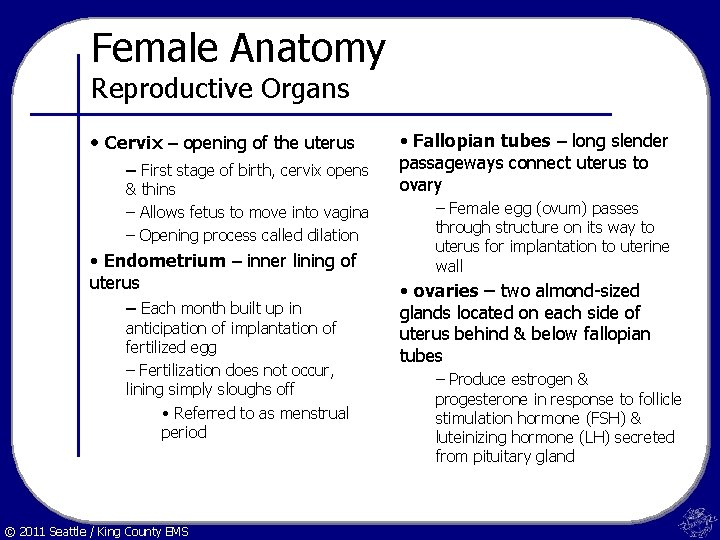 Female Anatomy Reproductive Organs • Cervix – opening of the uterus – First stage