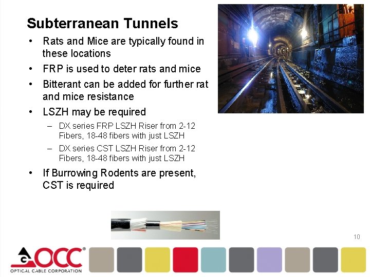 Subterranean Tunnels • Rats and Mice are typically found in these locations • FRP