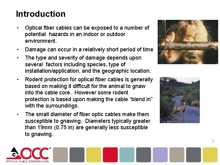 Introduction • Optical fiber cables can be exposed to a number of potential hazards