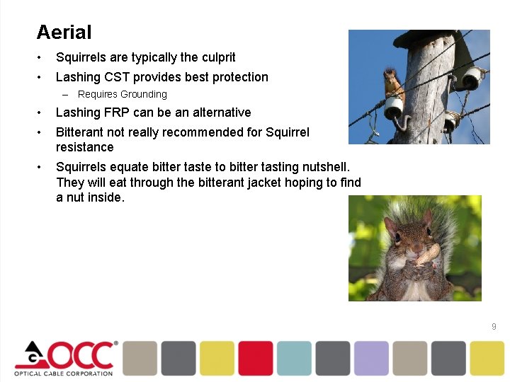 Aerial • • Squirrels are typically the culprit Lashing CST provides best protection –