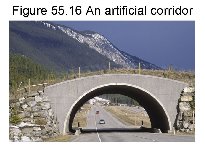 Figure 55. 16 An artificial corridor 