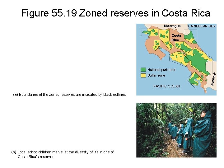 Figure 55. 19 Zoned reserves in Costa Rica Nicaragua CARIBBEAN SEA Costa Rica Buffer