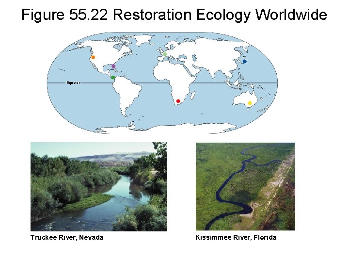 Figure 55. 22 Restoration Ecology Worldwide Equator Truckee River, Nevada Kissimmee River, Florida 