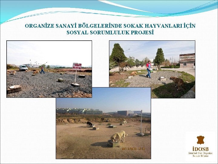 ORGANİZE SANAYİ BÖLGELERİNDE SOKAK HAYVANLARI İÇİN SOSYAL SORUMLULUK PROJESİ 