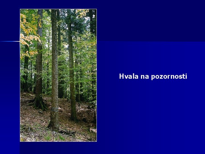 Hvala na pozornosti 