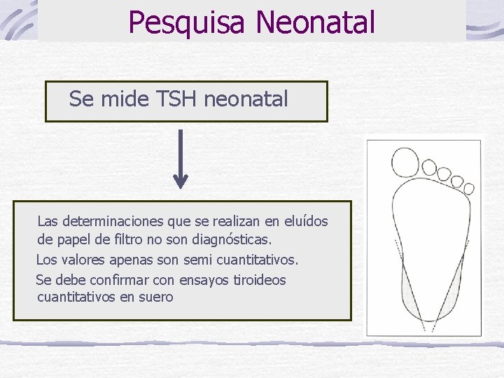 Pesquisa Neonatal Se mide TSH neonatal Las determinaciones que se realizan en eluídos de