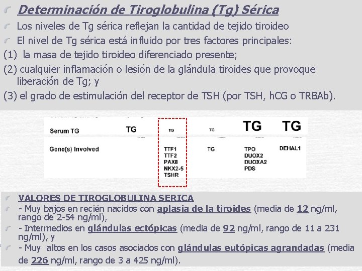 Determinación de Tiroglobulina (Tg) Sérica Los niveles de Tg sérica reflejan la cantidad de