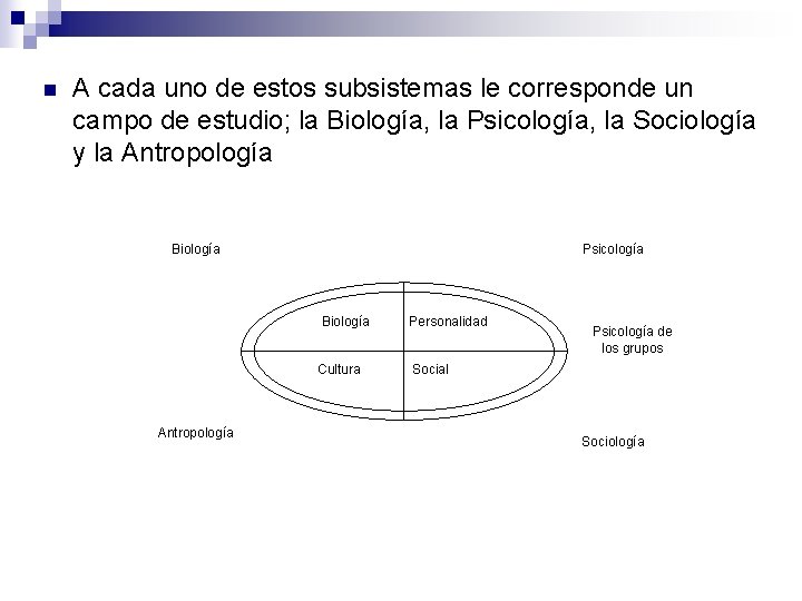 n A cada uno de estos subsistemas le corresponde un campo de estudio; la
