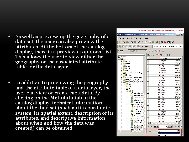  • As well as previewing the geography of a data set, the user