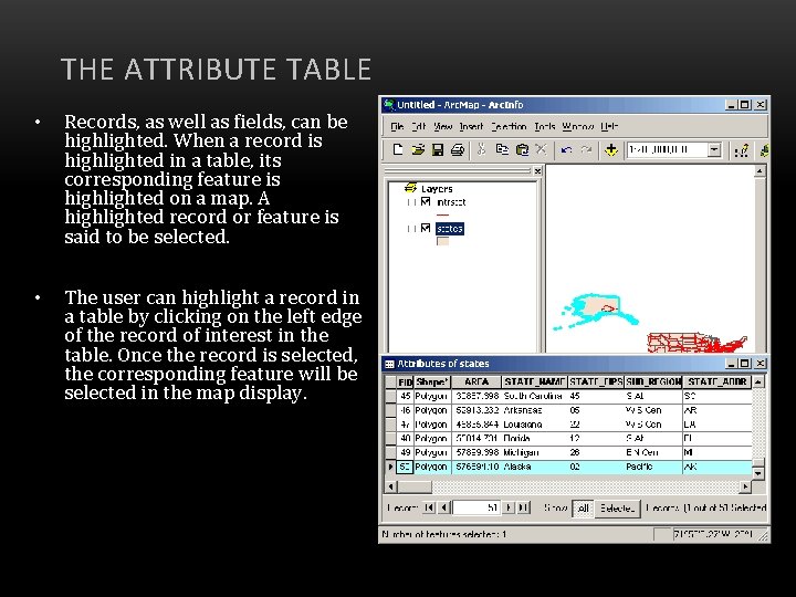 THE ATTRIBUTE TABLE • Records, as well as fields, can be highlighted. When a