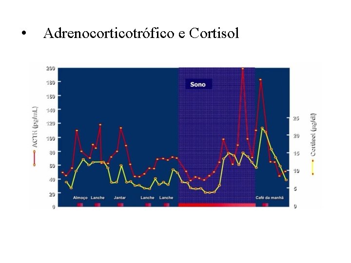  • Adrenocorticotrófico e Cortisol 