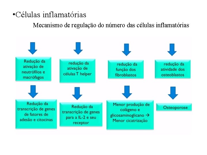  • Células inflamatórias Mecanismo de regulação do número das células inflamatórias 