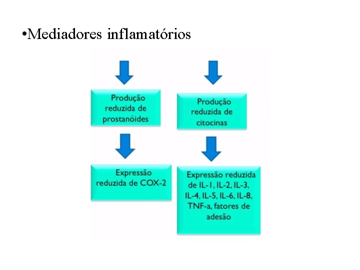  • Mediadores inflamatórios 