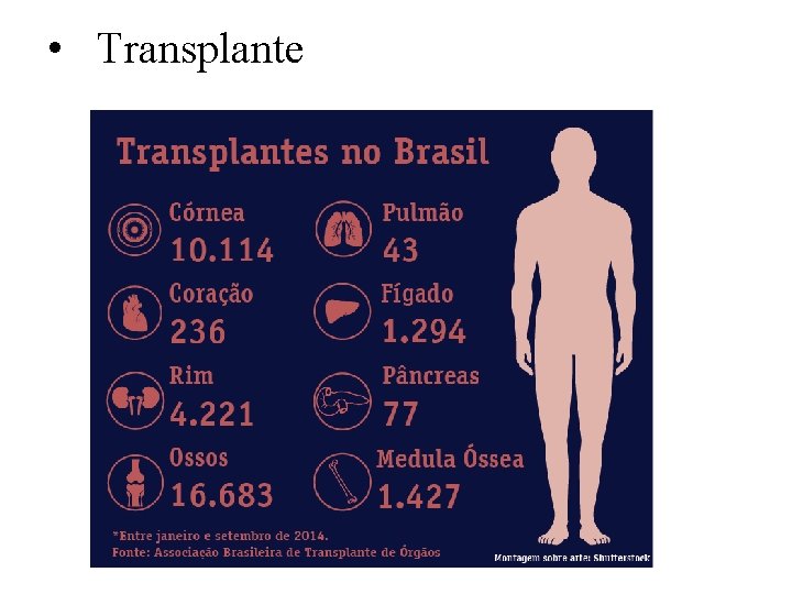  • Transplante 