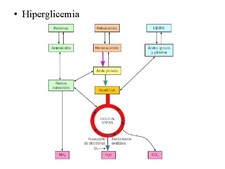  • Hiperglicemia 