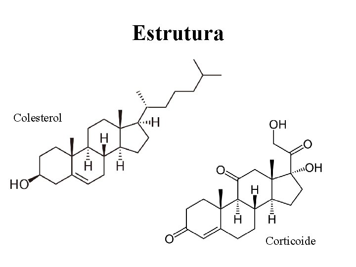 Estrutura Colesterol Corticoide 