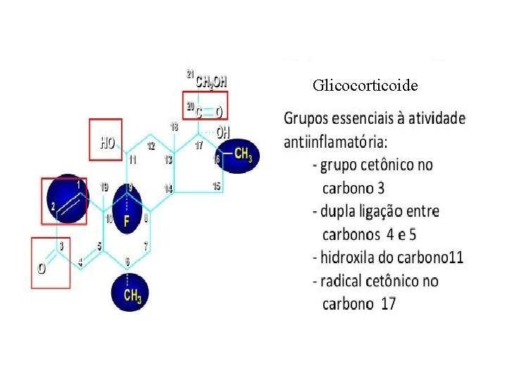 Glicocorticoide 