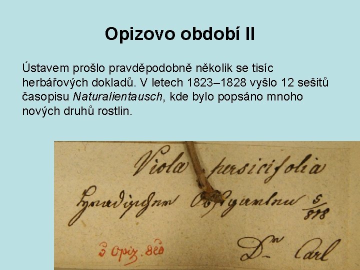 Opizovo období II Ústavem prošlo pravděpodobně několik se tisíc herbářových dokladů. V letech 1823–