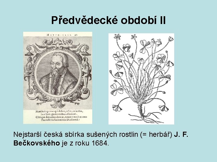 Předvědecké období II Nejstarší česká sbírka sušených rostlin (= herbář) J. F. Bečkovského je