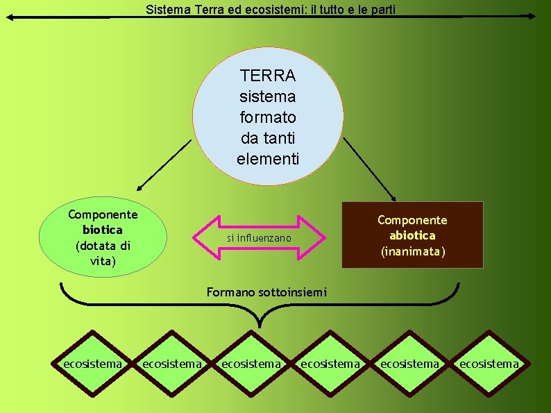 Sistema Terra ed ecosistemi: il tutto e le parti TERRA sistema formato da tanti