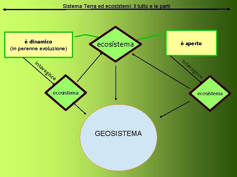 Sistema Terra ed ecosistemi: il tutto e le parti è dinamico (in perenne evoluzione)