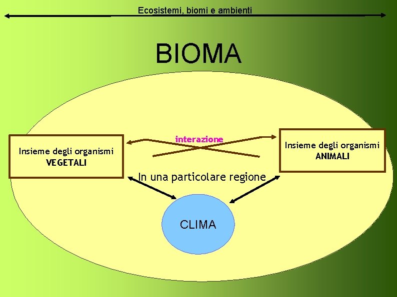 Ecosistemi, biomi e ambienti BIOMA interazione Insieme degli organismi VEGETALI In una particolare regione