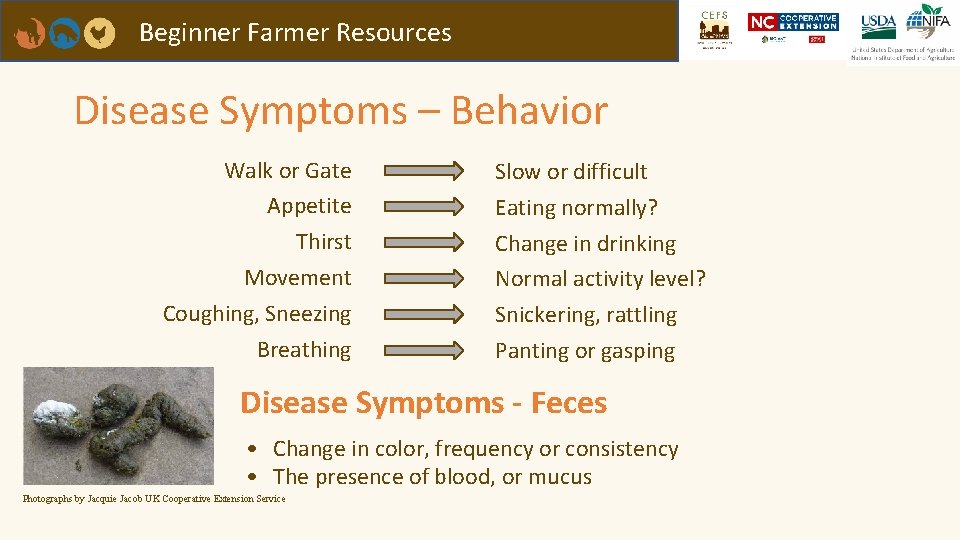 Beginner Farmer Resources Disease Symptoms – Behavior Walk or Gate Appetite Thirst Movement Coughing,