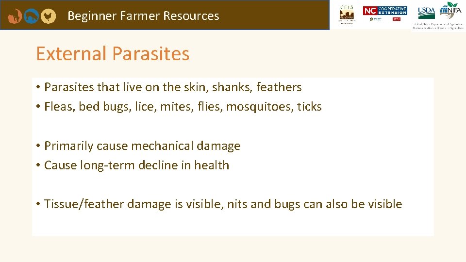 Beginner Farmer Resources External Parasites • Parasites that live on the skin, shanks, feathers