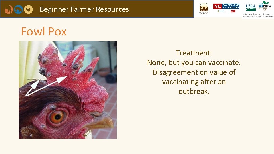 Beginner Farmer Resources Fowl Pox Treatment: None, but you can vaccinate. Disagreement on value