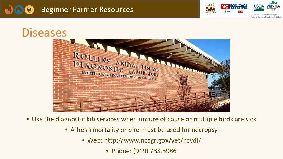 Beginner Farmer Resources Diseases • Use the diagnostic lab services when unsure of cause