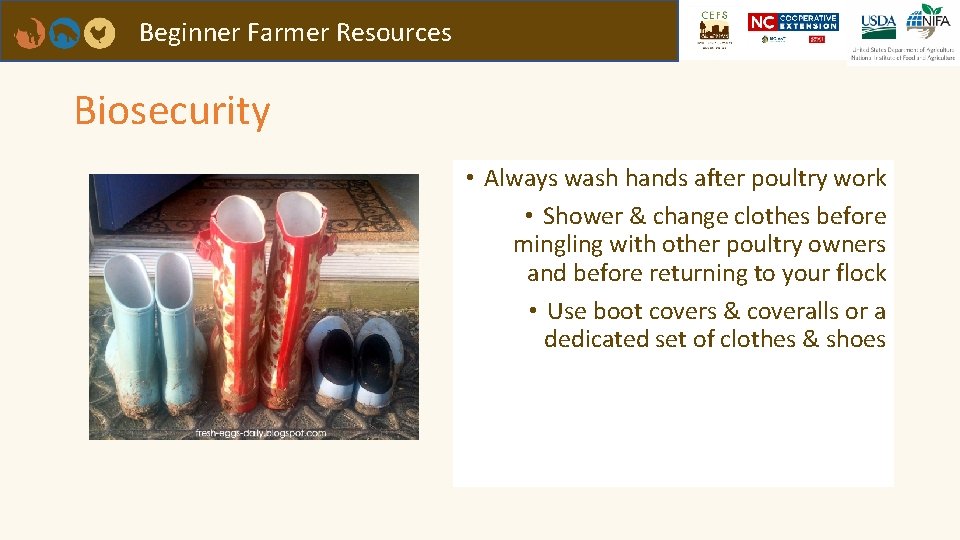 Beginner Farmer Resources Biosecurity • Always wash hands after poultry work • Shower &