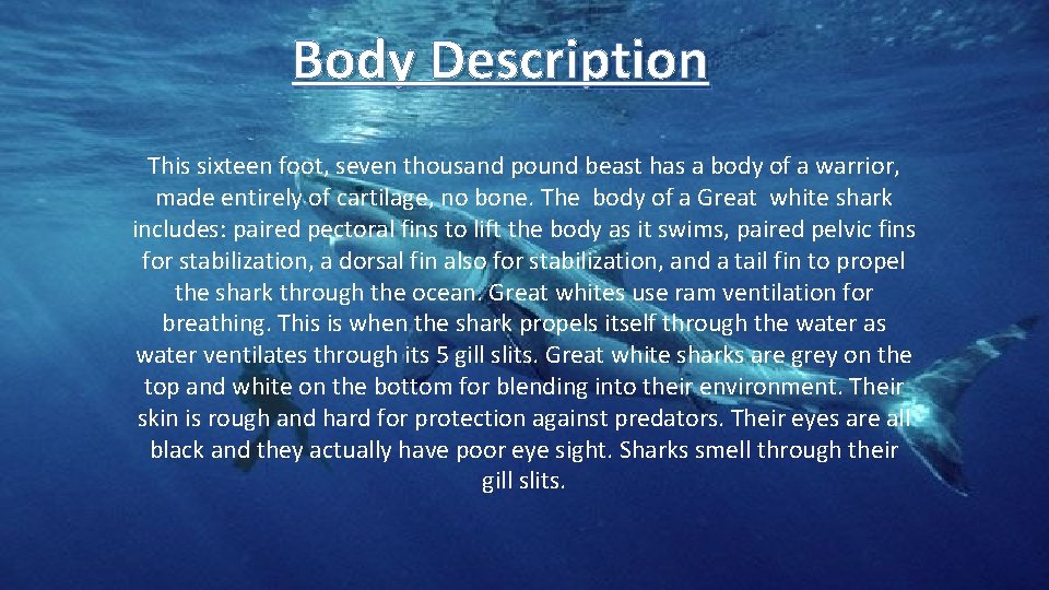 Body Description This sixteen foot, seven thousand pound beast has a body of a