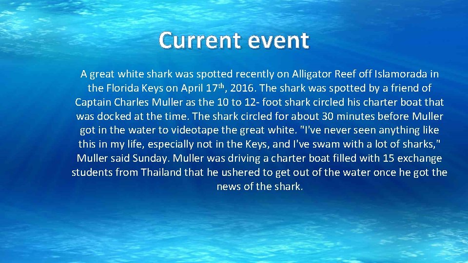 Current event A great white shark was spotted recently on Alligator Reef off Islamorada