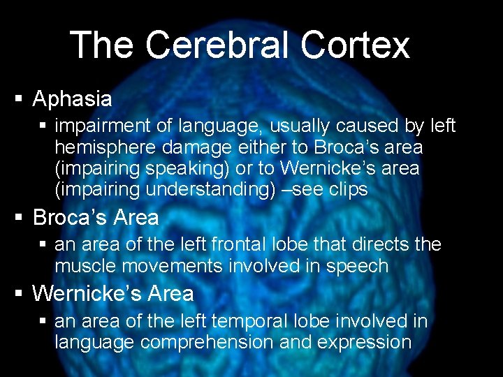 The Cerebral Cortex § Aphasia § impairment of language, usually caused by left hemisphere