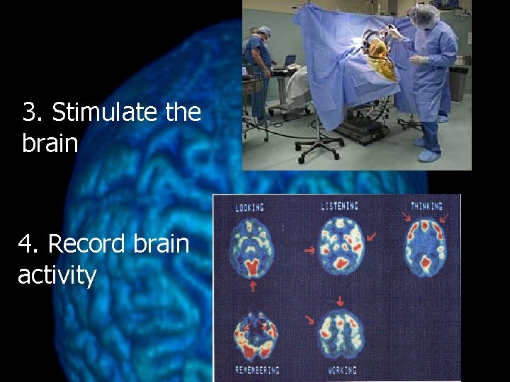 3. Stimulate the brain 4. Record brain activity 