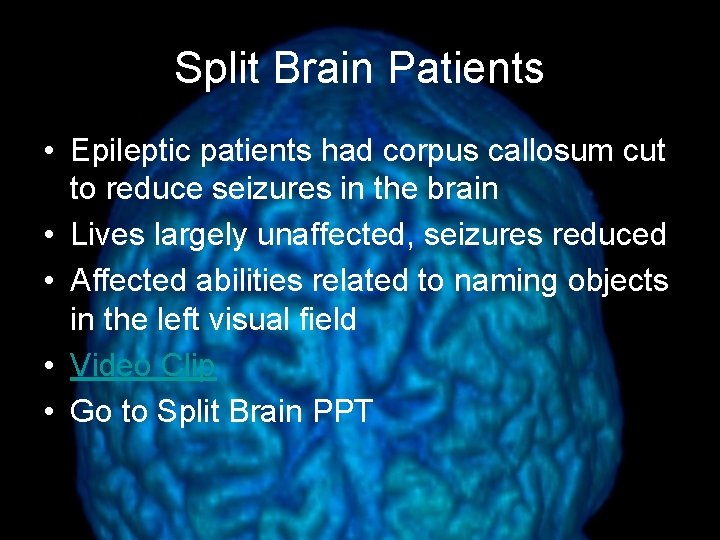 Split Brain Patients • Epileptic patients had corpus callosum cut to reduce seizures in