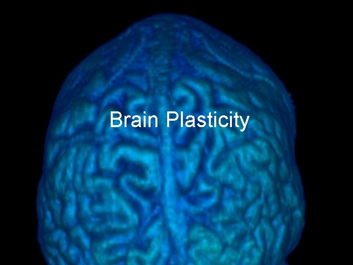 Brain Plasticity 